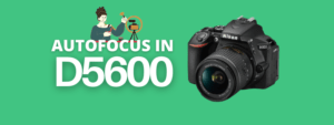 Does the Nikon D5600 have autofocus?