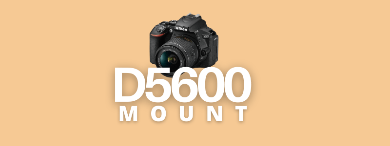 what mount does the nikon d5600 have?